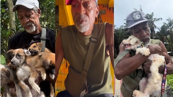Robaron en reconocido refugio de animales en San Andrés: “Se habían llevado todo”