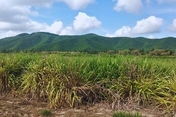 Investigadores del INTA y el