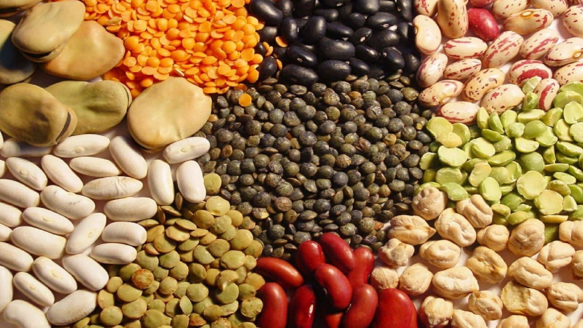 El arroz y las legumbres enlatadas permanecen seguras hasta cuatro años después de la fecha de caducidad si las latas están en buen estado (Andina)