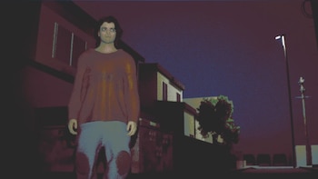 A Passing in the Night