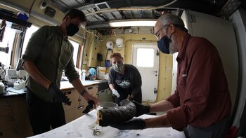 El científico senior de MBARI