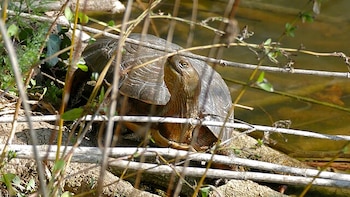 El vaciado del embalse del