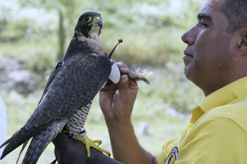 En el parque conocerás cuál