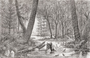 Meganeura compartió un mundo con