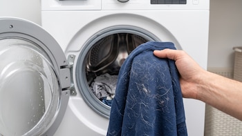 Por qué tu ropa limpia sale de la lavadora llena de pelos de gato y cómo solucionarlo