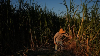 El Salvador registra alza en