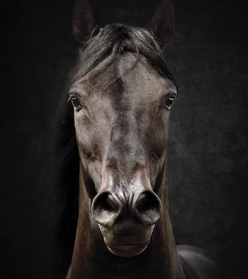 Más allá del precio de