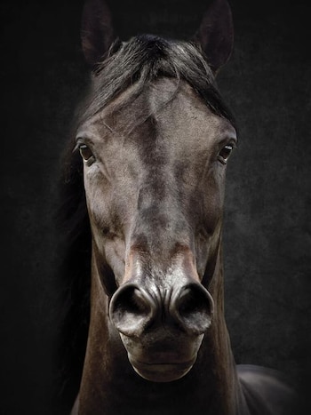 Más allá del precio de