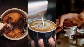 Una guía para conocer los