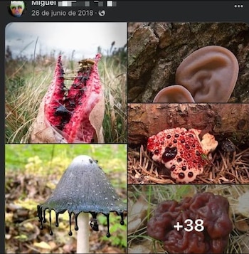 Imágenes fuera de contexto, pero