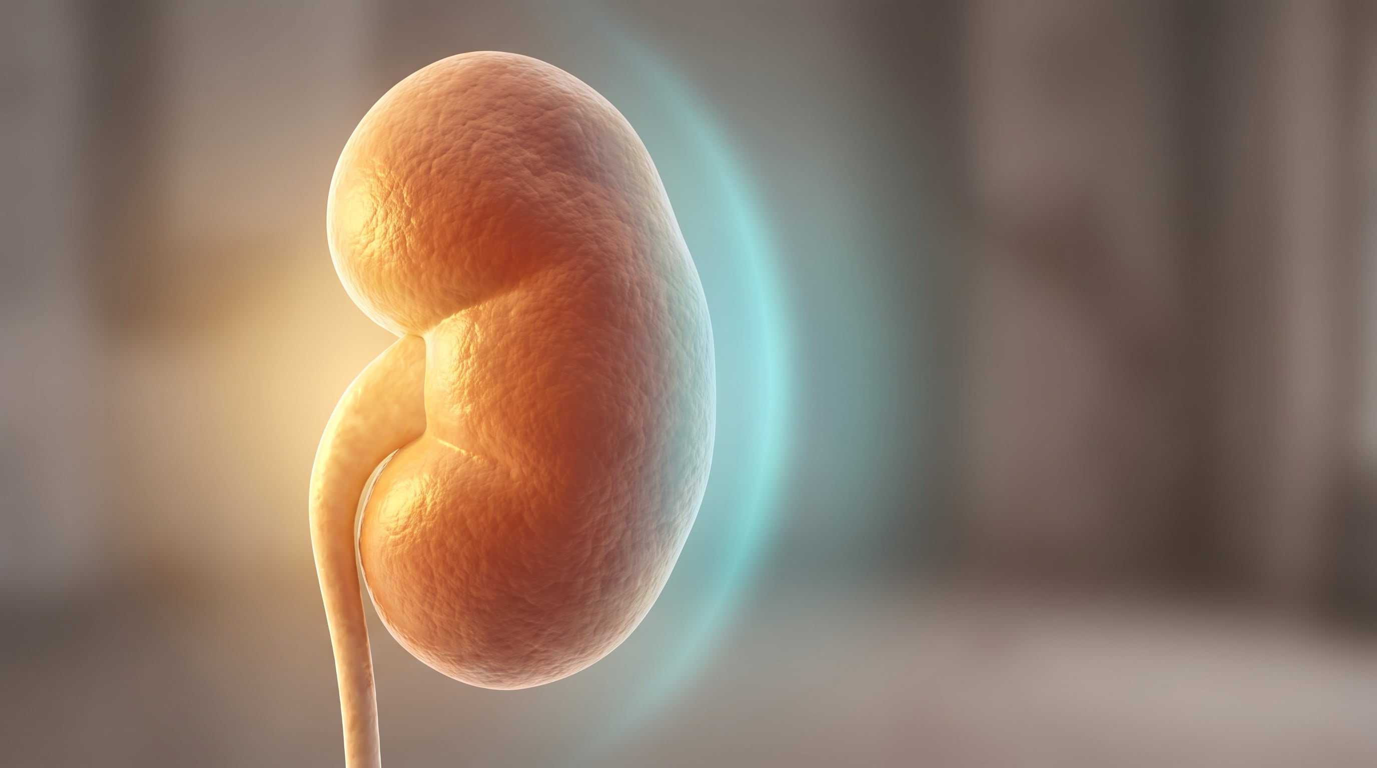 Los autores señalaron que la prevención temprana y la actividad física podrían ayudar a retrasar la progresión de la enfermedad renal crónica en poblaciones que envejecen. (Imagen Ilustrativa Infobae)