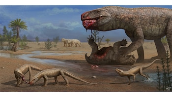 Este reptil pequeño convivía con