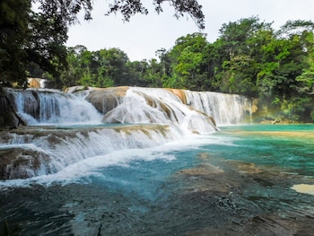 Cascadas de agua blanca sobre rocas claras, pozas de agua turquesa, densa vegetación verde, árboles en primer plano y un cielo nublado