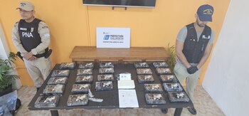 La banda luego introduciría la