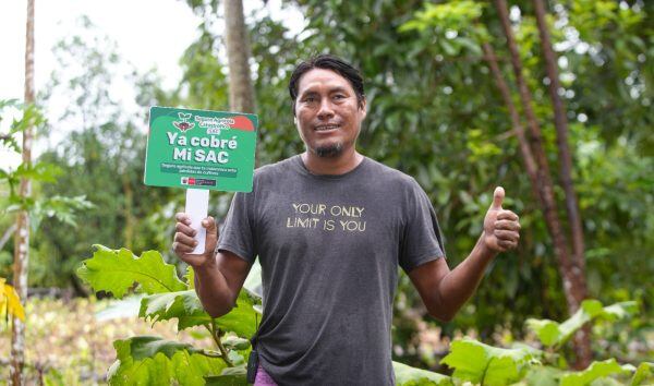 En Cajamarca, se ha extendido la cobertura a 3.500 hectáreas, concentrándose principalmente en cultivos de café, arroz y maíz amiláceo. Foto: Sin rodeos Cajamarca
