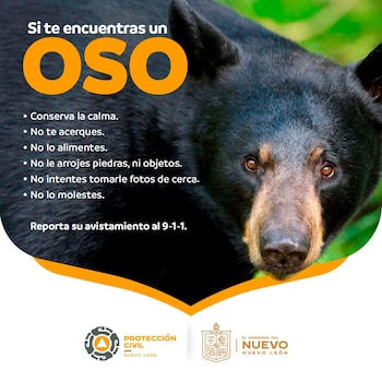 (Foto: PC Nuevo León)