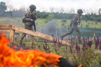 Imagen 5P5KSEROLFDY5O4ZDCJARMGGQI