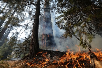La Oficina de Manejo de Emergencias de Nevada cerró temporalmente tierras públicas cerca de North Reno Recreation Area y prohibió el acampe para facilitar la respuesta. (REUTERS/David Swanson)