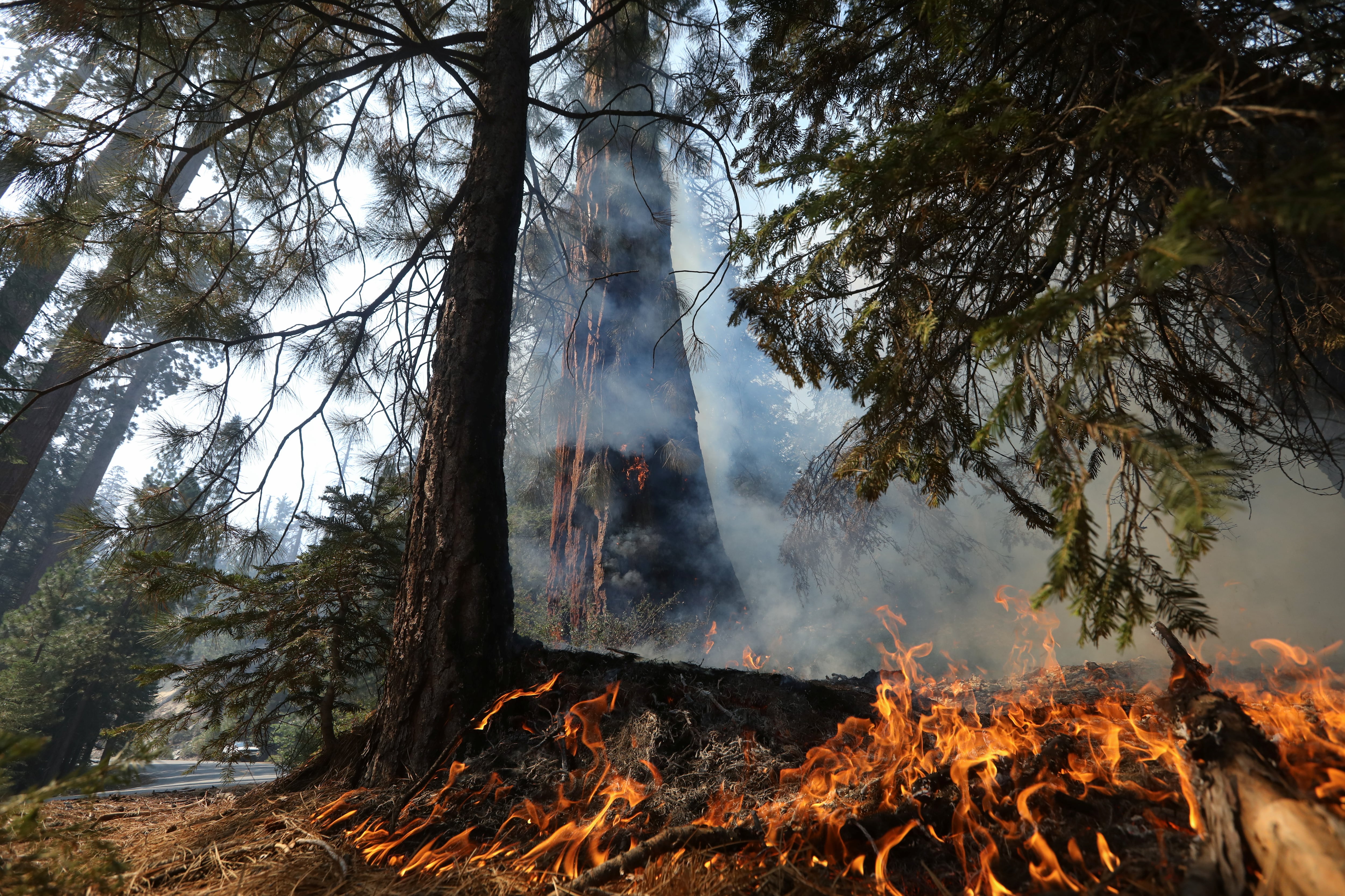 La Oficina de Manejo de Emergencias de Nevada cerró temporalmente tierras públicas cerca de North Reno Recreation Area y prohibió el acampe para facilitar la respuesta. (REUTERS/David Swanson)
