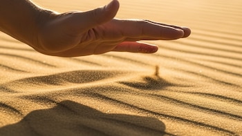 Los voluntarios lograron localizar objetos