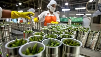 Norma tiene en cuenta a las ingenierías vinculadas al tratamiento de alimentos.