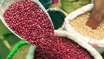 Déficit en la producción de frijol obliga a Honduras a importar el grano desde Nicaragua