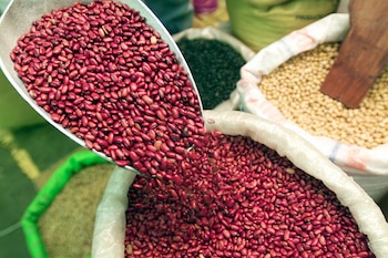 La producción de frijol en Honduras ha caído significativamente, generando un déficit cercano al millón de quintales (FOTO: SDE Honduras)