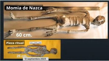 Cuerpo desecado o comúnmente llamado "momia de Nazca", encontrada en Perú presuntamente encontrada con 20 cuerpos de su especie Foto: (Captura de pantalla Canal de Congreso Audiencia Pública: Fenómenos Aéreos Anómalos No Identificados en México)