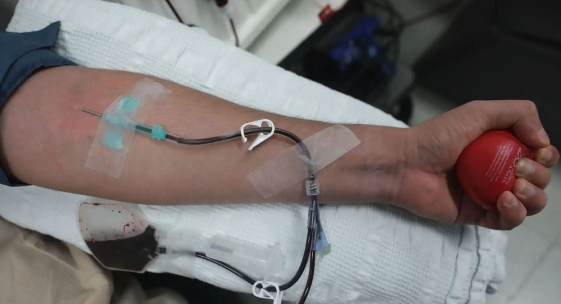 Cada 17 de abril se conmemora el Día Mundial de la Hemofilia, una fecha dedicada a generar conciencia sobre este trastorno y promover su diagnóstico temprano. (Andina)