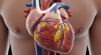 (Imagen Ilustrativa Infobae)