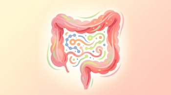 Silueta de intestino humano con trazos rosas, rojos y verdes, contiene formas circulares y líneas azules, naranjas, verdes y claras sobre fondo degradado.