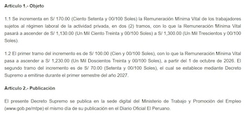 Captura de El Peruano del decreto del aumento del sueldo mínimo a S/1.300