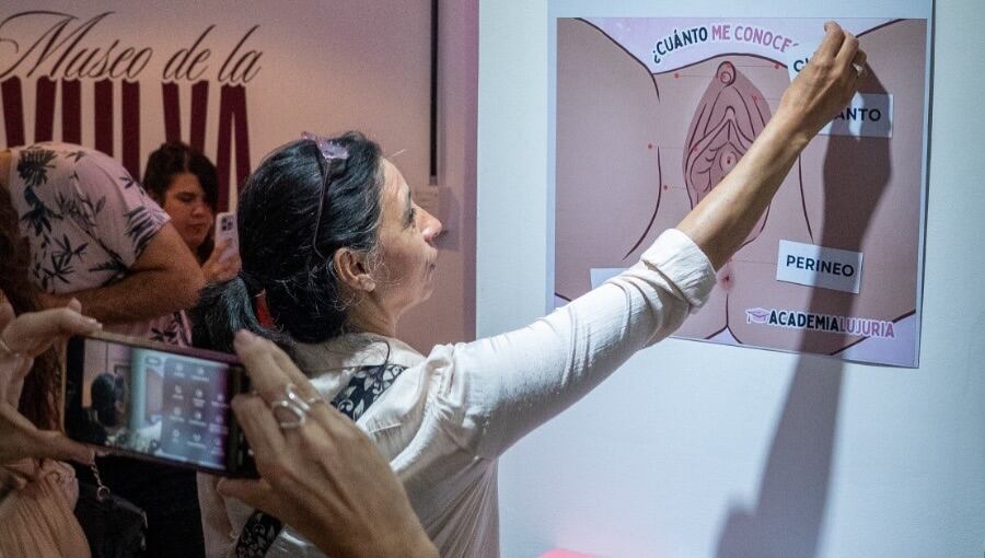 El recorrido interactivo del museo permite visibilizar la pluralidad de la anatomía femenina y combatir estigmas sociales históricos (Instagram @Museo de la Vulva)