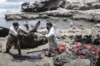 Foto: Agencia Andina