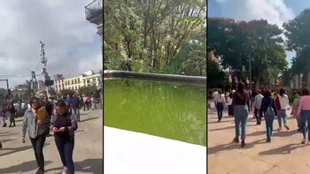 Captan en video sismo de