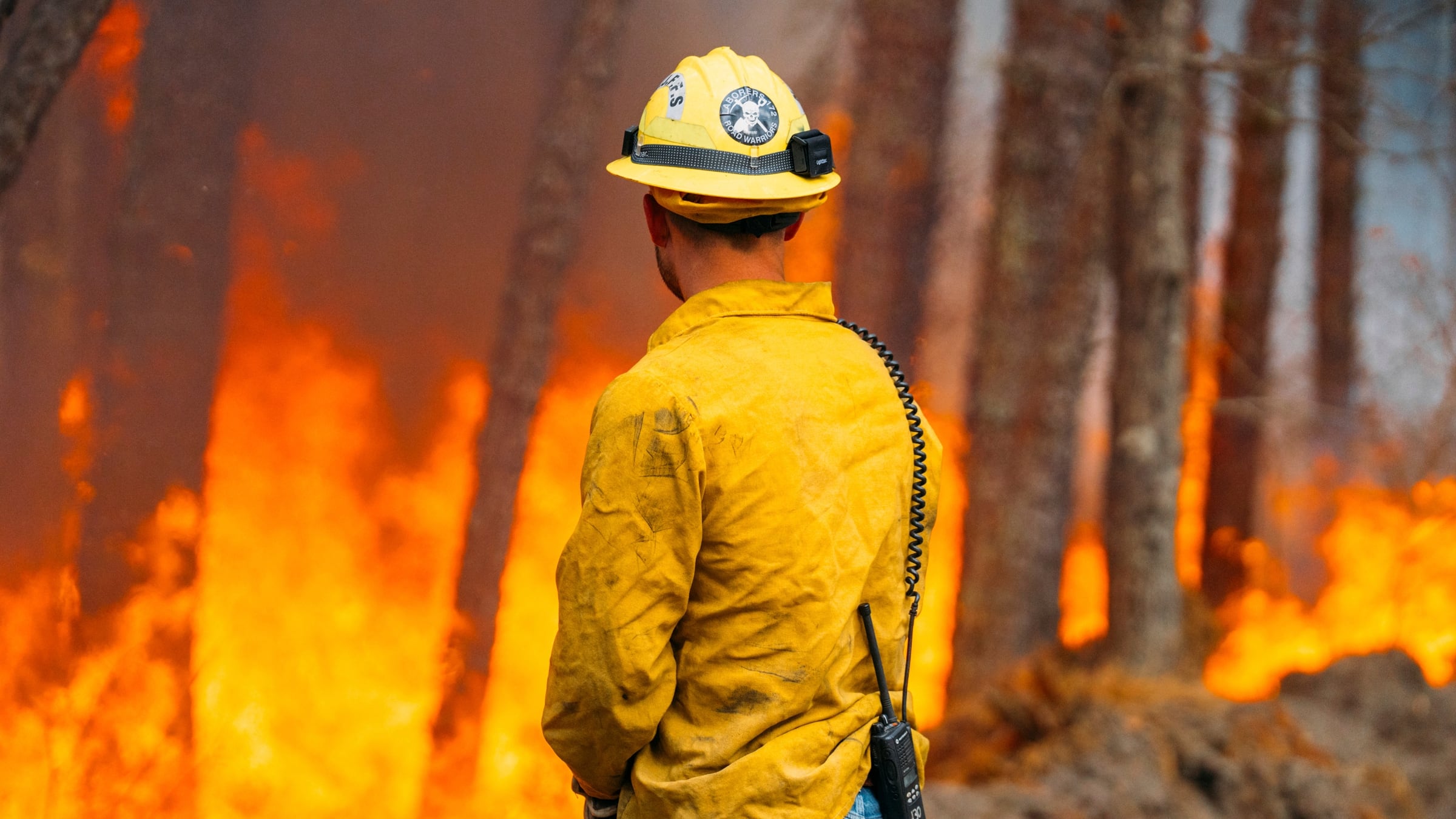 La emergencia en Utah también incluyó evacuaciones, cortes preventivos de energía y controles reforzados antes de las celebraciones del 4 de julio. (New Jersey Department of Environmental Protection via AP)