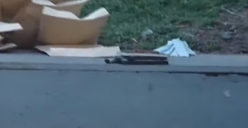 Carpetas de papel, un arma de fuego y mascarillas quirúrgicas sobre el borde de hormigón de una acera con vegetación al fondo