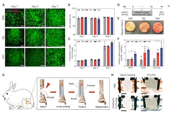 La técnica evita implantes prefabricados,