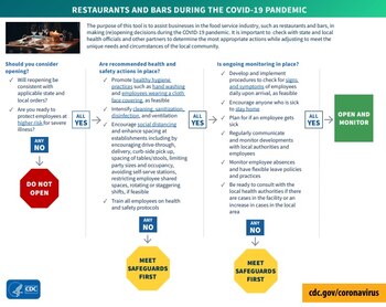 Esquema de lineamientos para la