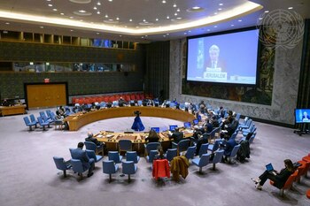 El Consejo de Seguridad de