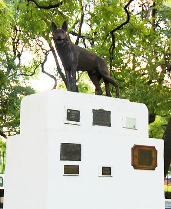 El homenaje a Chonino