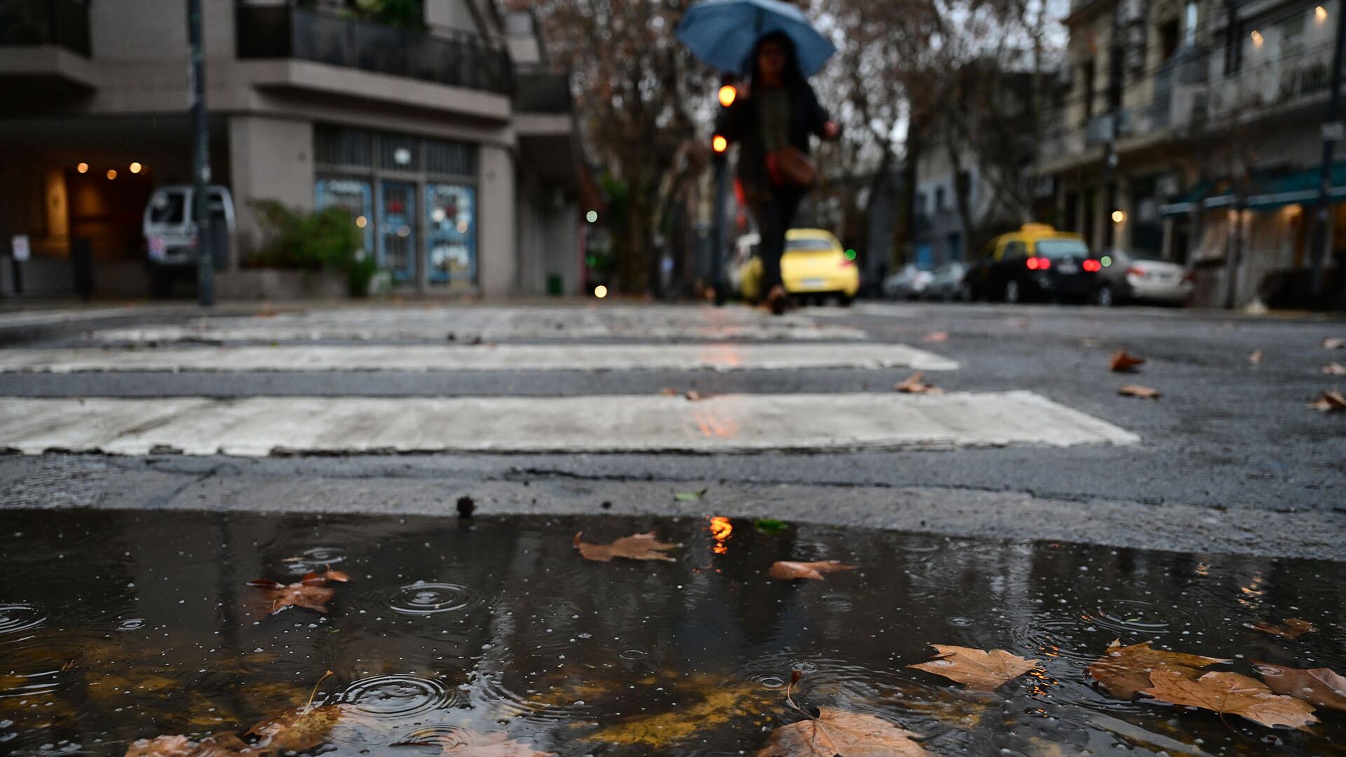 Las lluvias podrían regresar a Buenos Aires el martes 19 con acumulados estimados entre 25 y 50 milímetros en 24 horas (Maximiliano Luna)