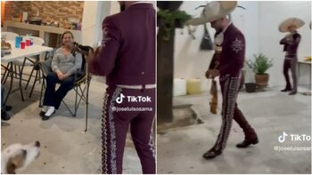 (TikTok/@joseluisosama)