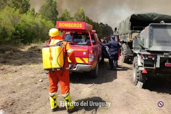 Bomberos y efectivos del Ejército