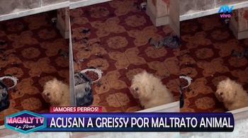 Greissy Ortega enfrenta acusaciones de presunto maltrato animal: vecinos difunden videos y audios. Captura: Magaly TV La Firme.