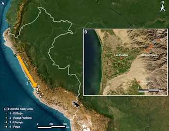Mapa del área de estudio. A. Ubicación del Valle de Chincha y de otros sitios andinos referenciados en este estudio que proporcionaron datos de ADN antiguo. B. Los sitios arqueológicos bajo investigación en este estudio. Crédito Los mapas base para los paneles A y B se obtuvieron del conjunto de datos World Imagery y se crearon con ArcGIS Pro v3.6.2. Fuentes: ESRI, Michael Bauer Research GmbH 2022, Instituto Nacional de Estadística e Informática (INEI), Earthstar Geographics, Vantor.