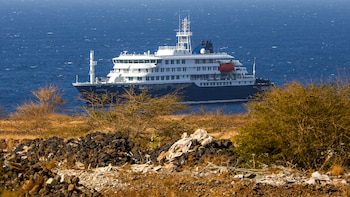 Hantavirus en un crucero: dos nuevos casos, cinco bajo sospecha y la búsqueda contrarreloj de los pasajeros de un vuelo