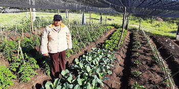 De las 165.000 familias que