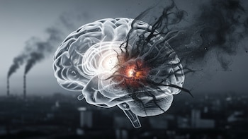 La contaminación ambiental aumenta el