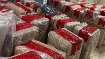 Detuvieron a pareja de”La Línea” con más de una tonelada de marihuana en El Fresno, Chihuahua